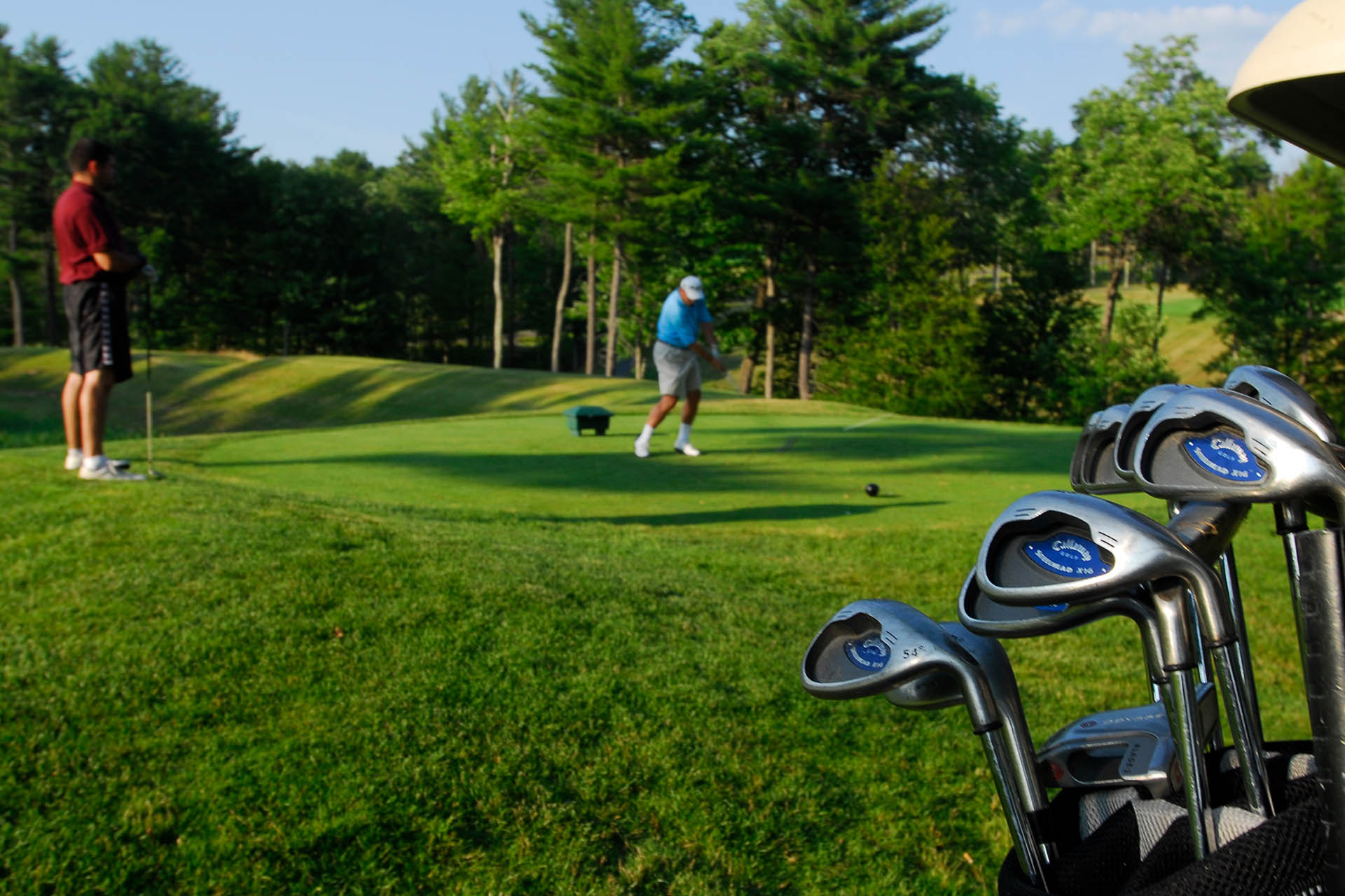 golfer on green teeing off.