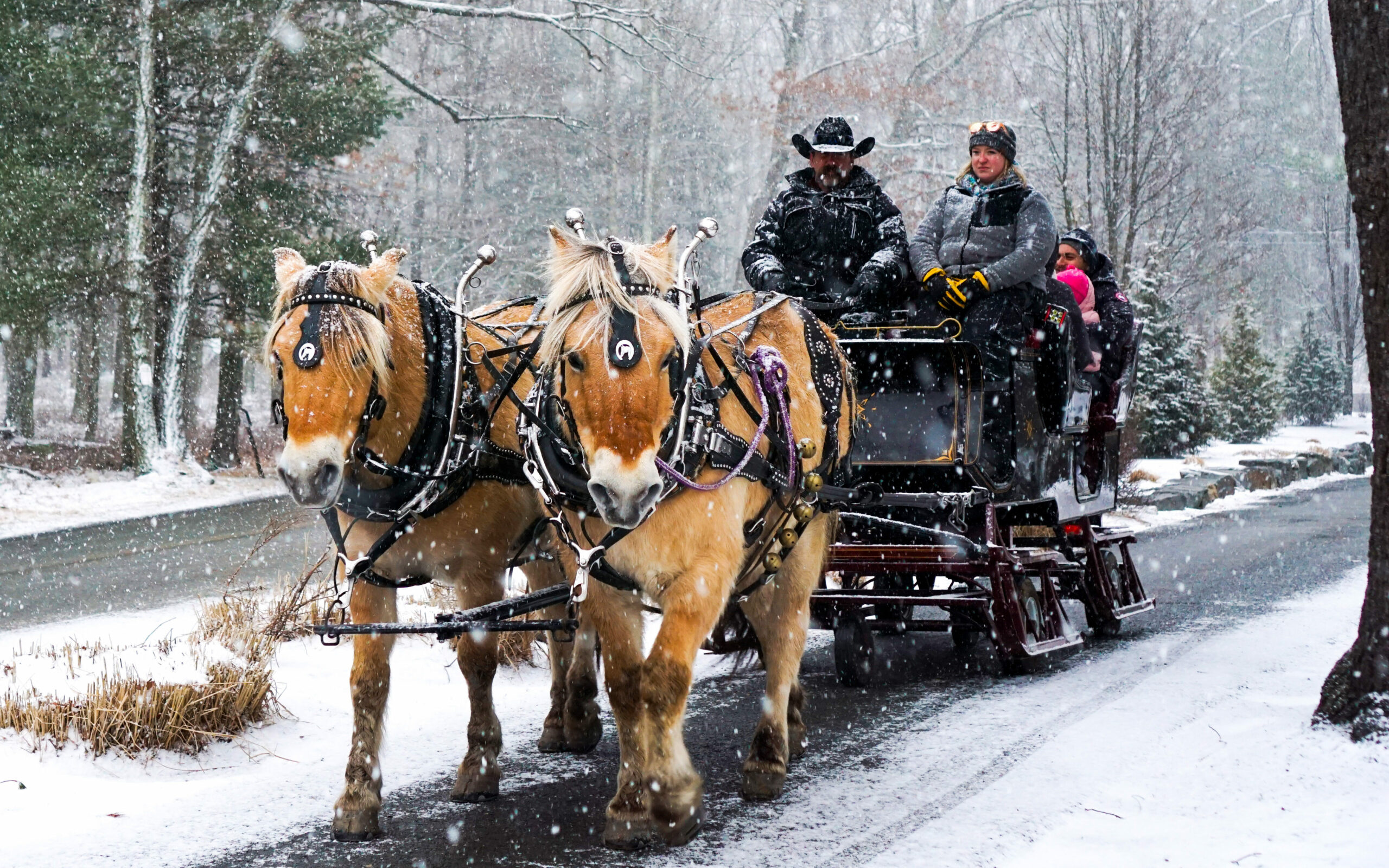 America's Best Family Resort | Things to Do in the Poconos | Woodloch ...